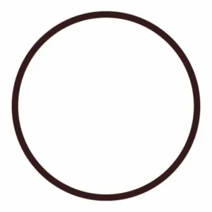 O-ring para tapa de clorador de pastilla de 4 kg